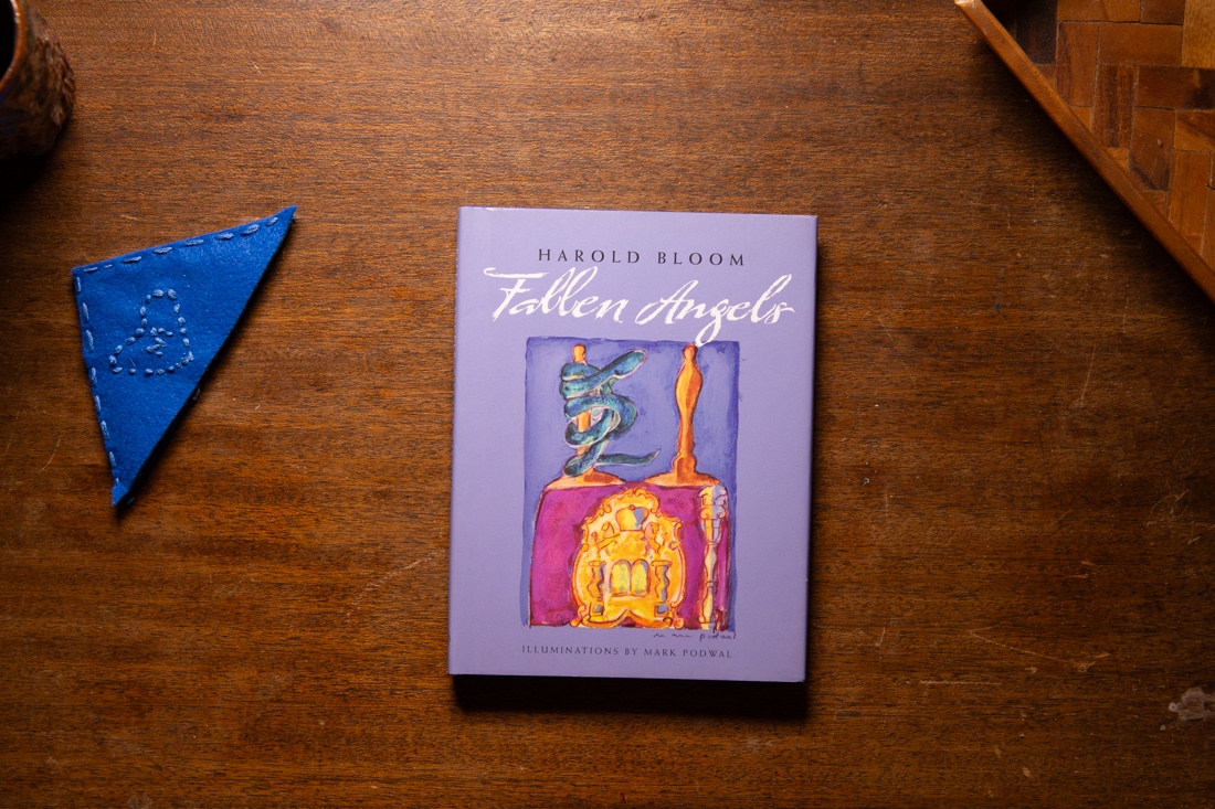 Fallen Angels by Harold Bloom