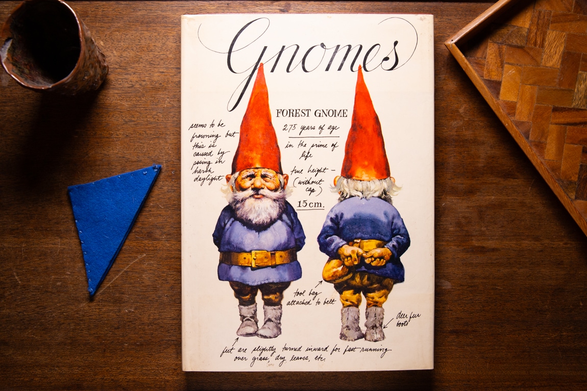 Gnomes by Wil Huygen