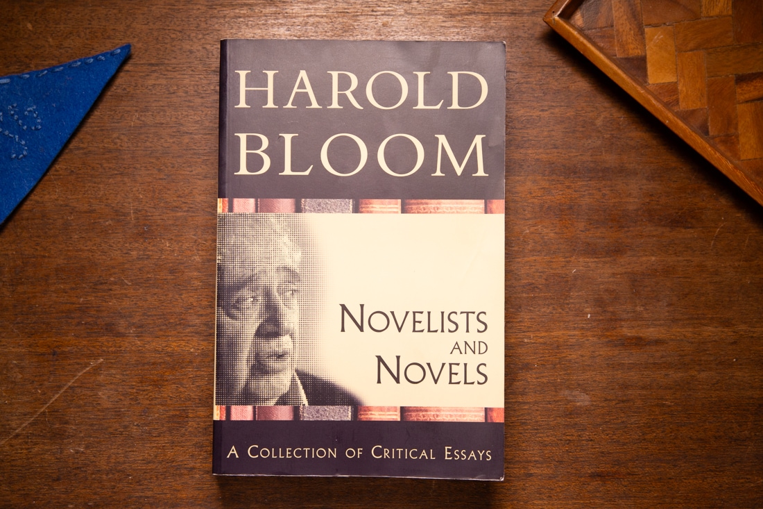 Novelists and Novels by Harold Bloom