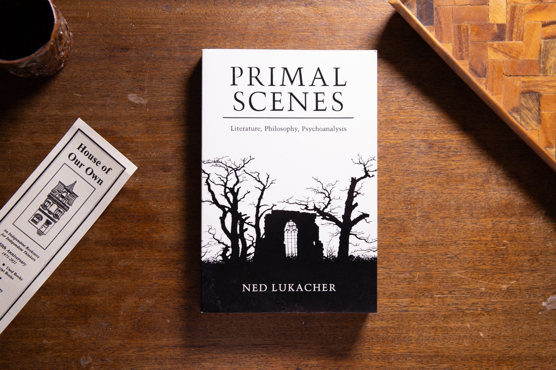 Primal Scenes by Ned Lukacher