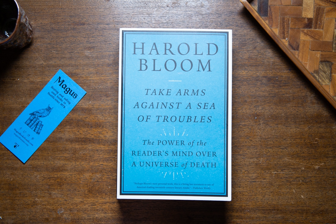 Take Arms Against a Sea of Troubles by Harold Bloom