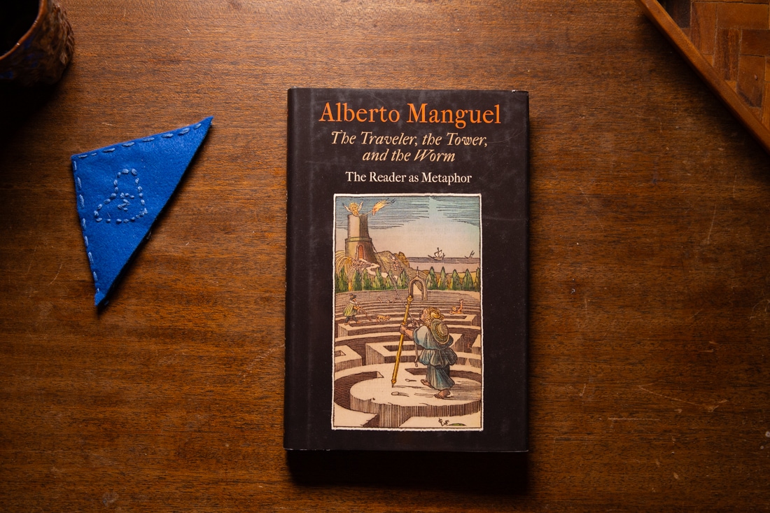 The Traveler, the Tower, and the Worm by Alberto Manguel