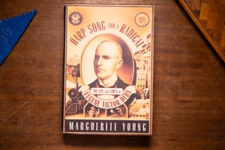 Harp Song For A Radical cover