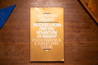 Jacques Lacan and the Adventure of Insight cover