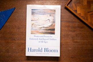 Stories and Poems for Extremely Intelligent Children of All Ages cover