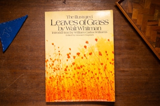 The Illustrated Leaves of Grass cover