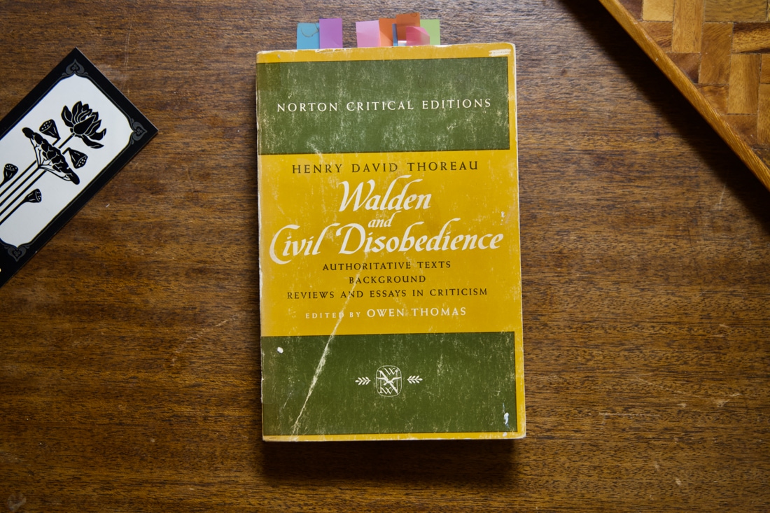 Walden & Civil Disobedience by Henry David Thoreau